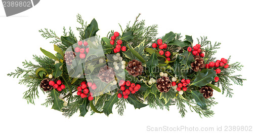 Image of Christmas Flora and Fauna