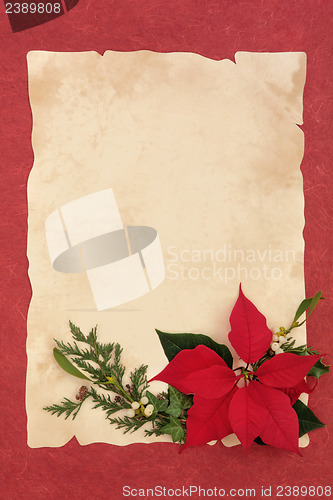 Image of Poinsettia Flower Border