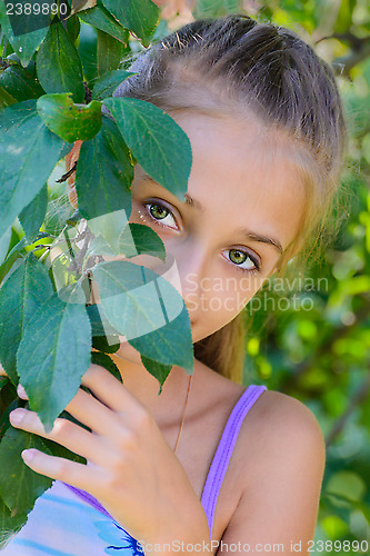 Image of Girl in a garden