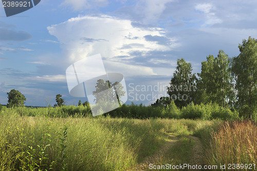 Image of Offensive thunderstorm in the summer