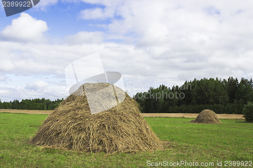 Image of A pair of haystacks  on a green meadow
