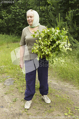 Image of Mature beautiful woman prepares birch brooms