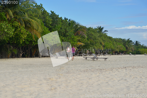 Image of tropical beach