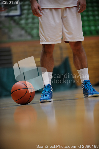 Image of Basketball player portrait