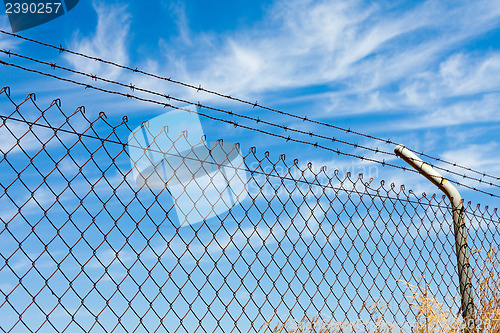 Image of Mesh fence with barbed wire