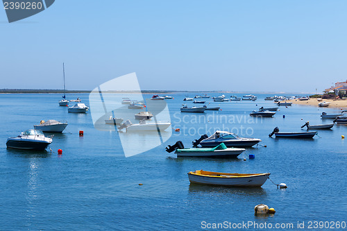 Image of Mooring of boats near the shore