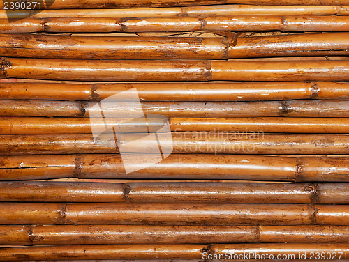 Image of Bamboo wall
