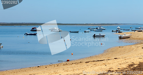 Image of Mooring of boats near the shore