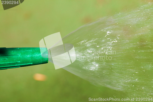 Image of Watering plants and grass by nozzle