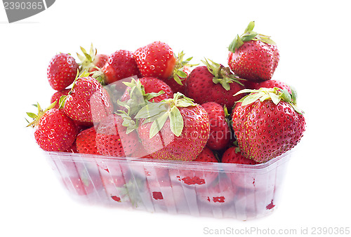 Image of  strawberry