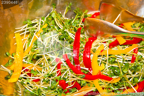 Image of Salad
