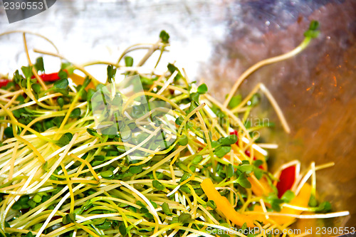 Image of Salad