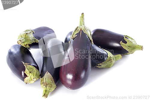Image of aubergine