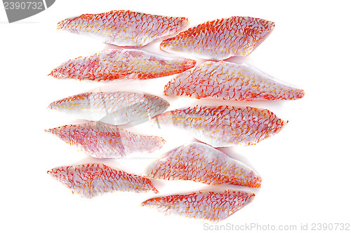 Image of fillets of goatfish