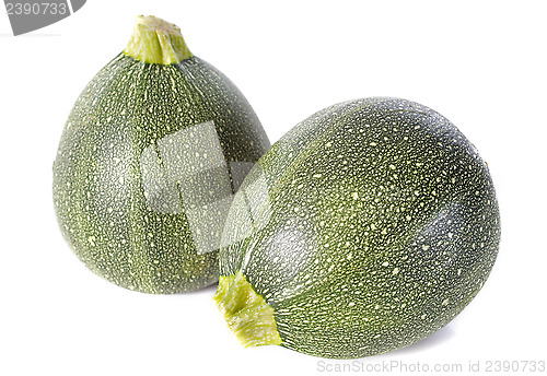 Image of round zucchini