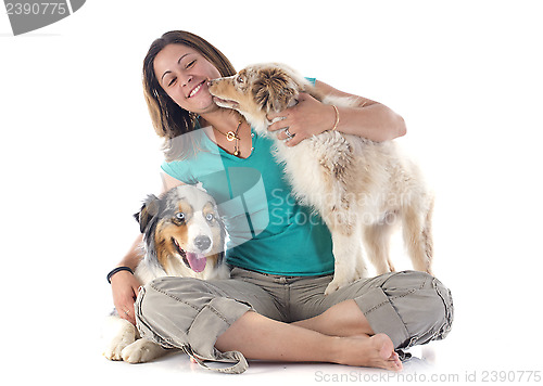 Image of australian shepherds and woman