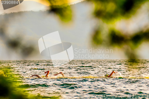 Image of swimming competition on lake