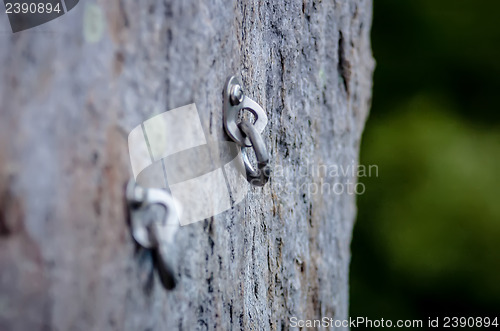 Image of Climbing carabiner 