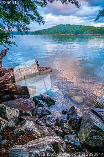 Image of scenery around lake jocasse gorge