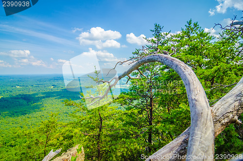 Image of beautiful aerial landscape views from crowders mountain north ca