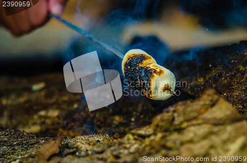 Image of Marshmallow on a stick over the fire