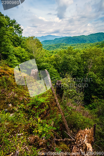 Image of scenery around lake jocasse gorge