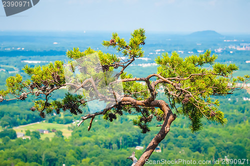 Image of beautiful aerial landscape views from crowders mountain north ca