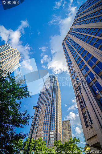 Image of skyline and city streets of charlotte north carolina usa