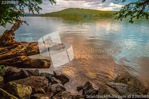 Image of scenery around lake jocasse gorge