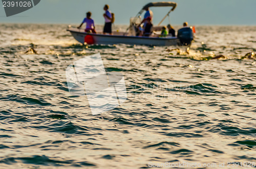 Image of swimming competition on lake