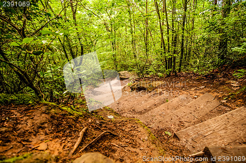 Image of steps on hiking trail