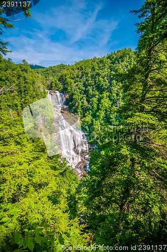 Image of Whitewater Falls in North Carolina