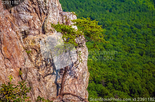 Image of beautiful aerial landscape views from crowders mountain north ca