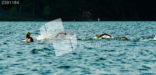 Image of swimming competition on lake