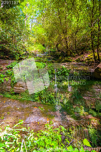 Image of beautiful watrefalls in upstate south carolina