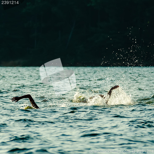 Image of swimming competition on lake