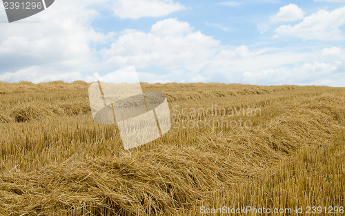 Image of swaths