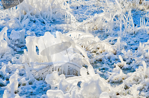 Image of frozen grass