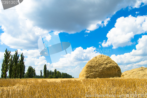Image of haystack