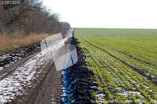 Image of dirty road