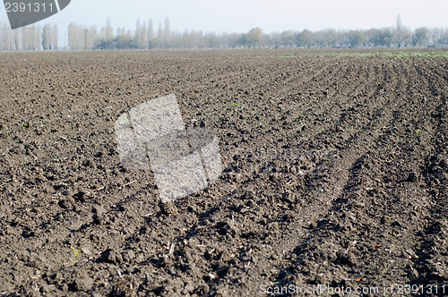 Image of cropland