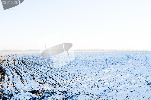 Image of cultivated field under snow