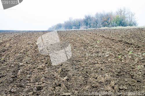 Image of black ploughed field