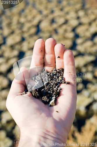 Image of handfull of soil