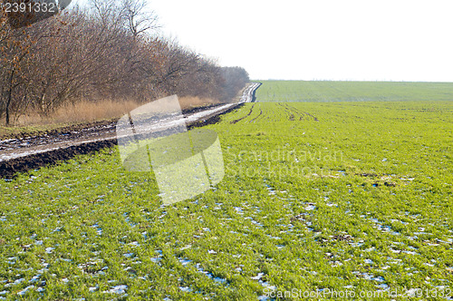 Image of green field