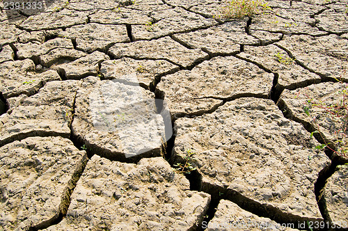 Image of drought