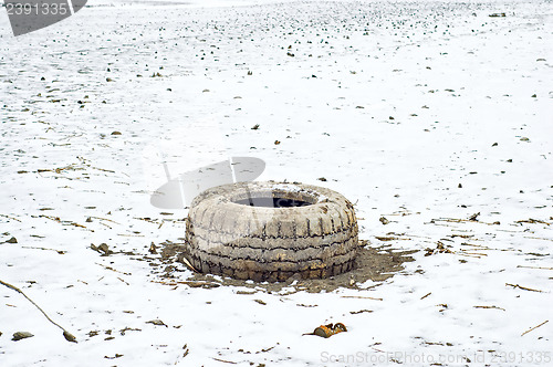 Image of frosty wheel