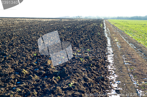 Image of soil