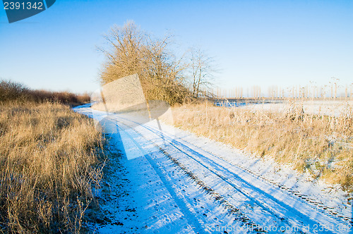 Image of winter road through the wood