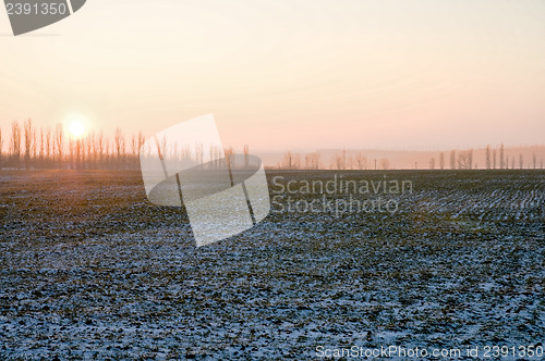 Image of cultivated field under snow